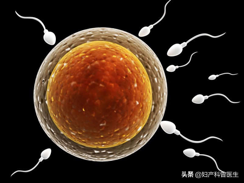 立春备孕好时候,造人计划备孕方法