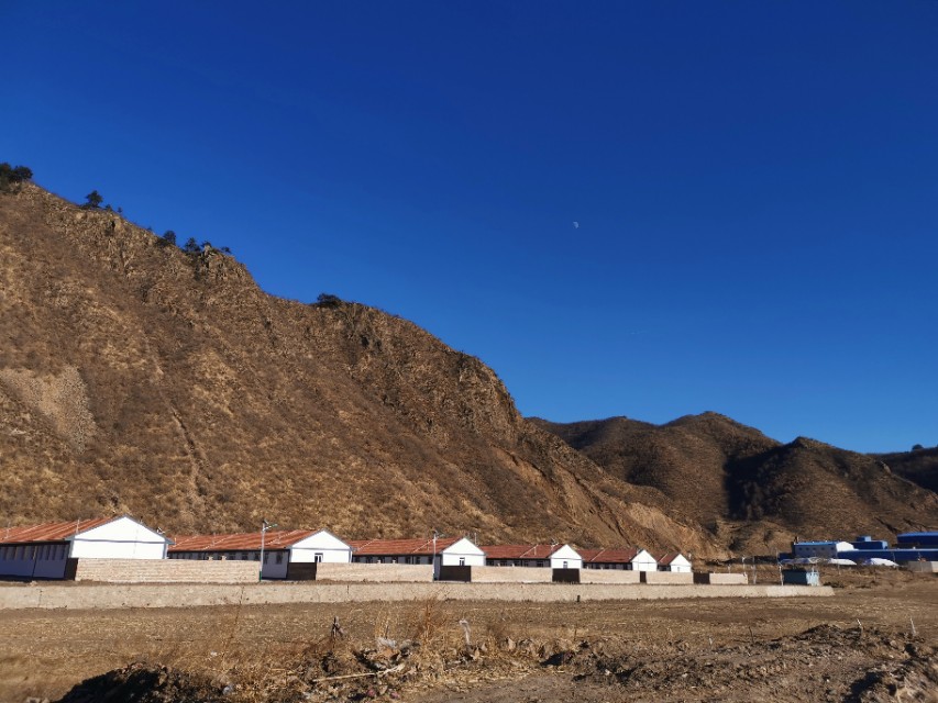 新生榆钱种子发芽,舒兰县榆树沟