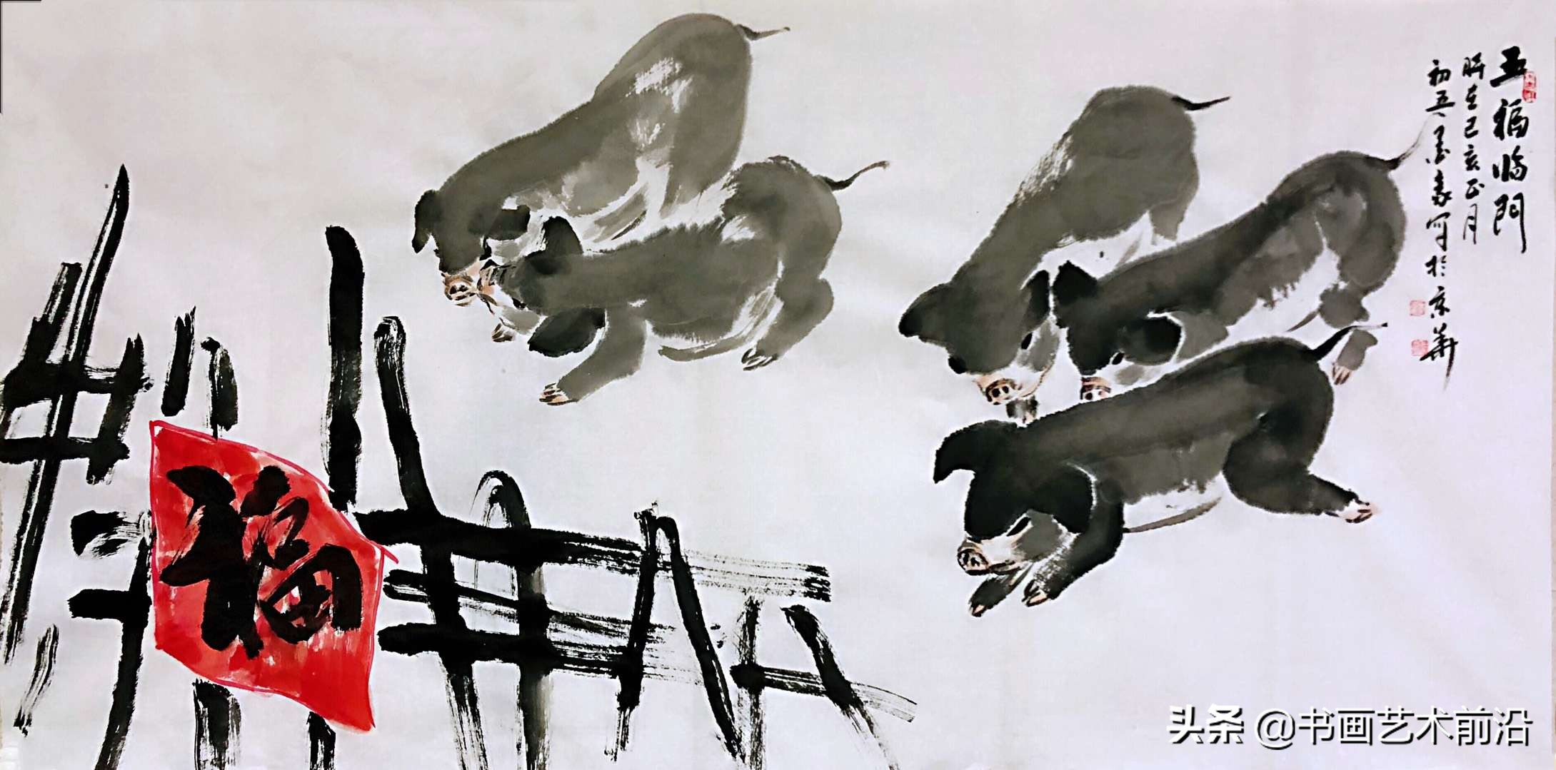 猪娃淅川,猪娃个人简介