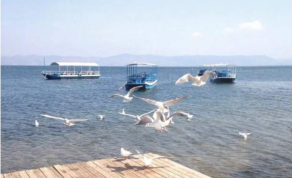 玉溪冲浪,玉溪映月潭温泉周边美食