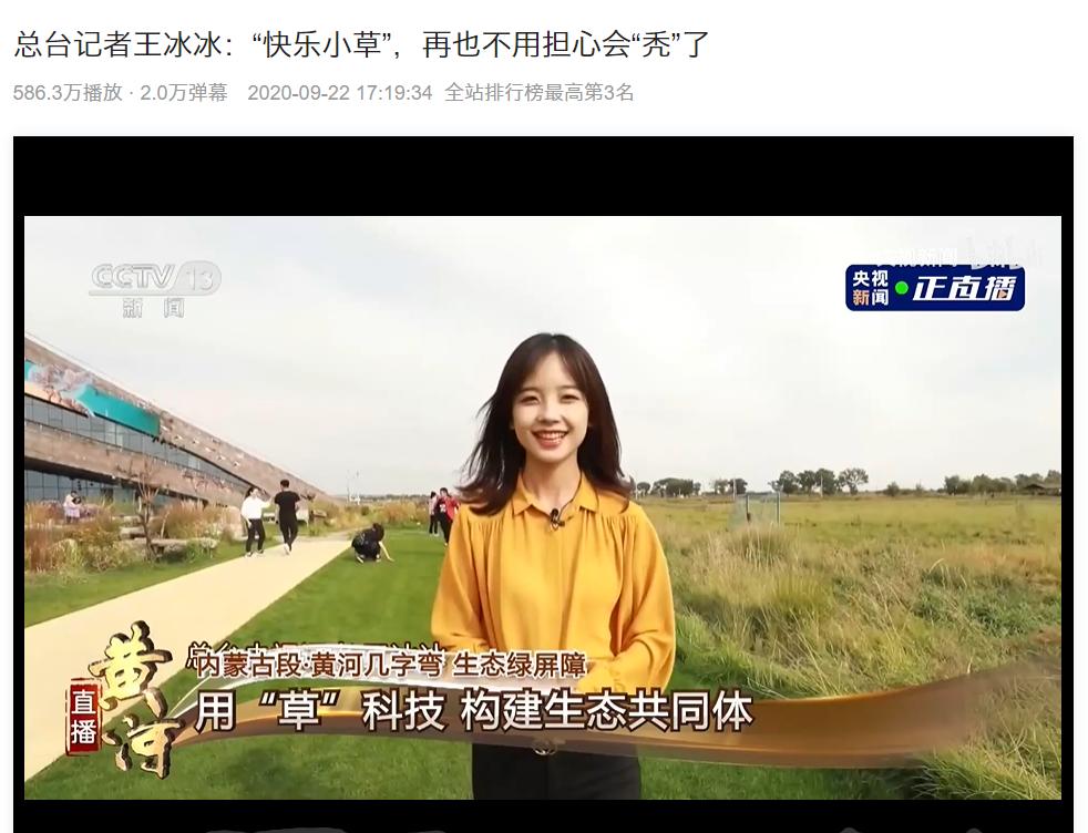 王冰冰和庄晓莹谁漂亮,央视花旦王冰冰