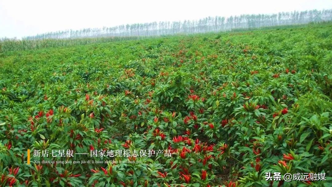 天下穹窿魅力威远宣传片,魅力威远宣传视频