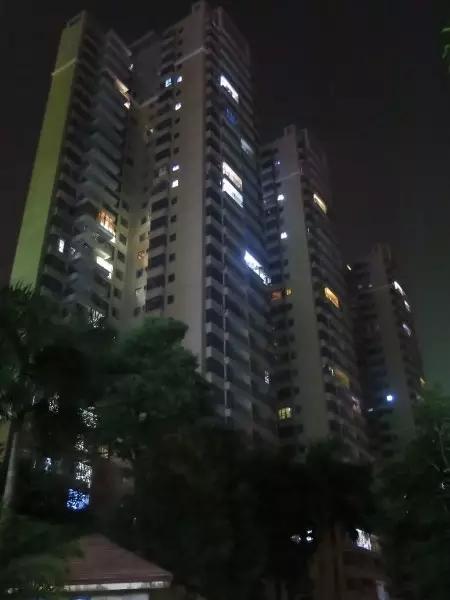 大亚湾西区亮灯率,大亚湾石化区晚上亮灯