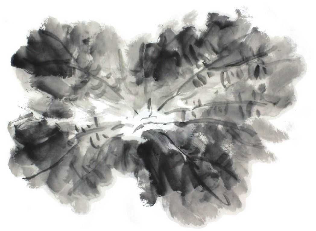 国画刘存惠荷花画法全视频,国画山水画教学视频荷花画法