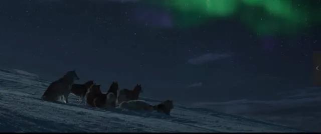 鍗楁瀬澶у啋闄╀腑鐨勮挋澶鐗囨,鍗楁瀬澶у啋闄╄挋澶