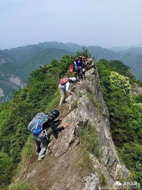 乐清屿头村旅游景点,温州乐清小岛旅游攻略图