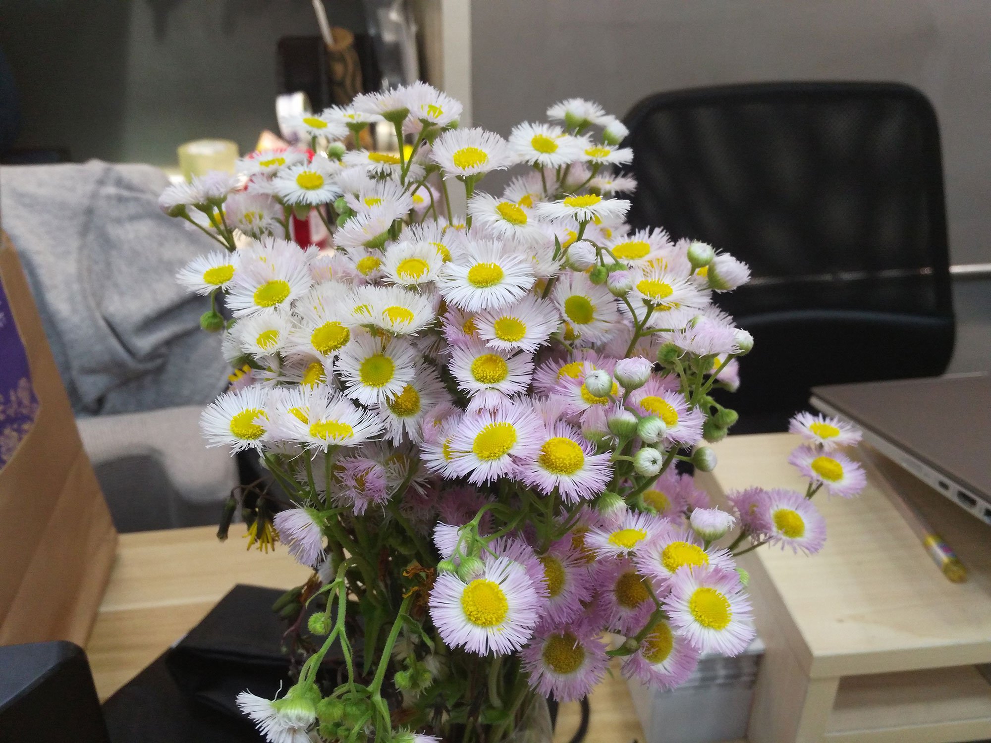 红米手机redmi8,redminote8红米手机