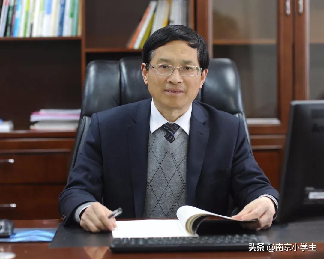 南京十所小学排名,南京10大民办中学