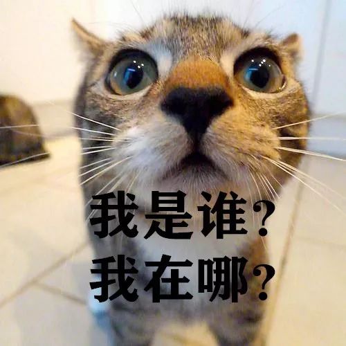 今日说法炒股,今日说法股市