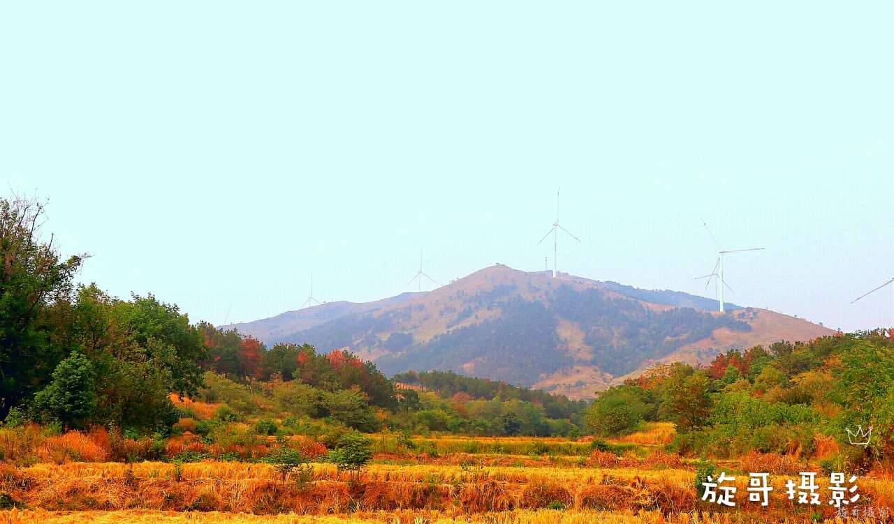 李白静夜思在哪个地方作诗,李白的梦游天姥吟留别的时代背景