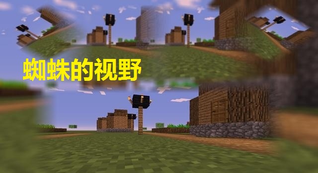 我的世界蜘蛛科普,我的世界最稀有的隐身蜘蛛