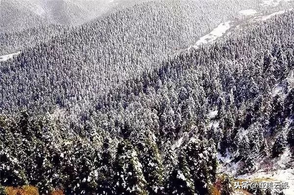 这个冬天邂逅西藏的美好时光 (冬天和爱人邂逅真正的西藏)