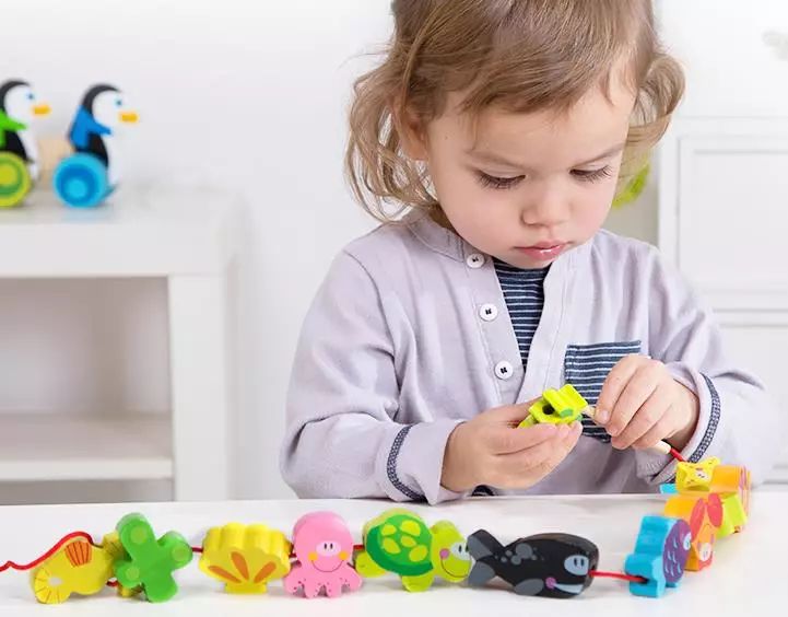 如何玩智力玩具,有什么提高智力的玩具