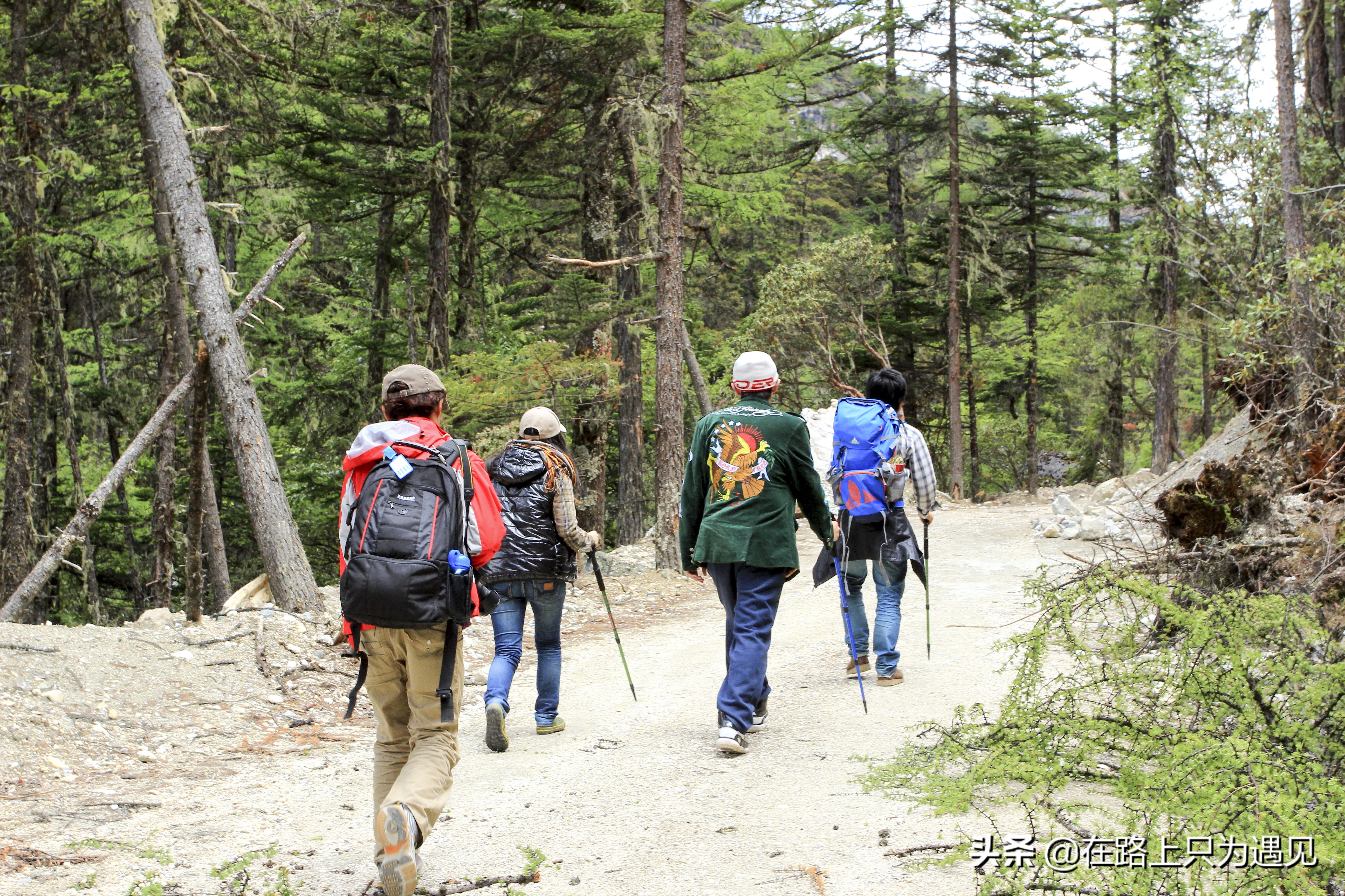 从你的全世界路过稻城亚丁主人公,从你的全世界路过稻城亚丁片段