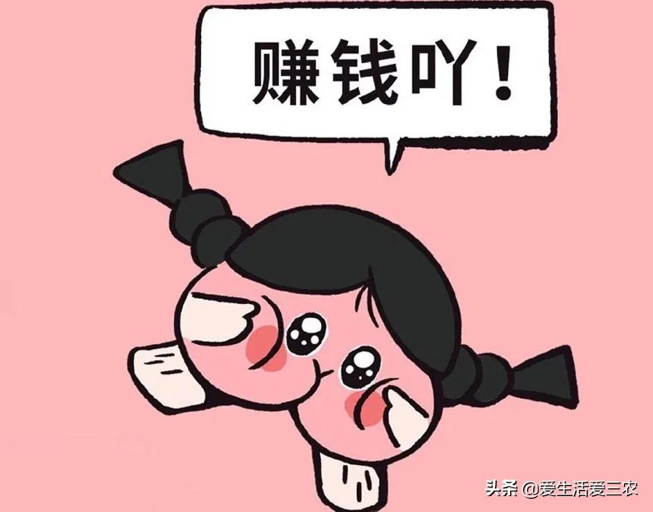 除了畜牧业还有什么业,除了养猪还有什么可以挣钱