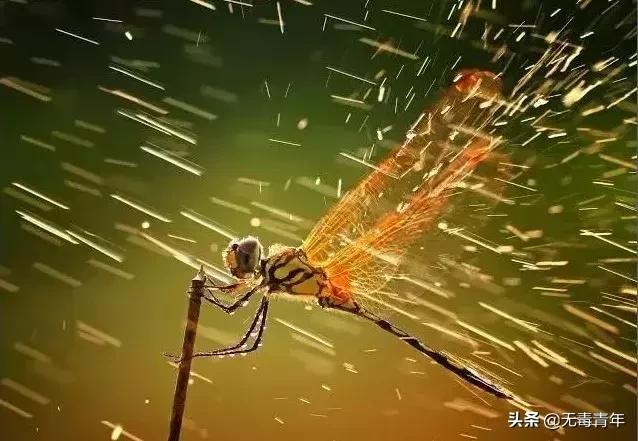 被囚34年取精，被迫亲手杀死爱子，最后只能挣扎着死去…