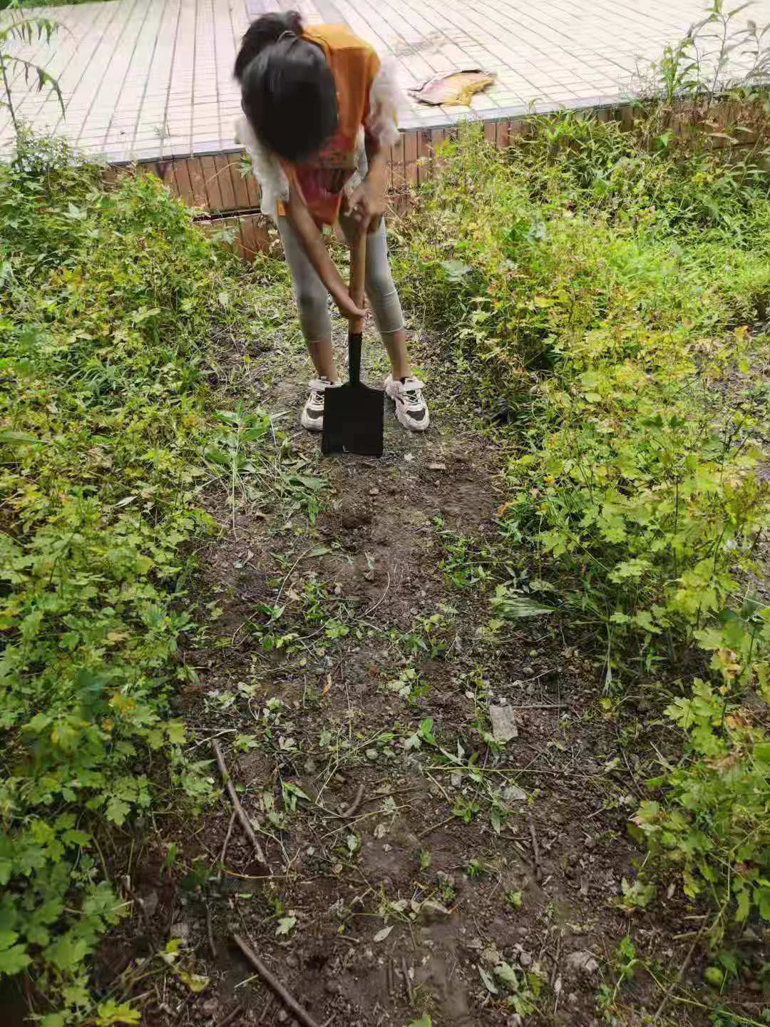 找春天思维导图简单漂亮画法,思维导图找春天二年级下册怎么画