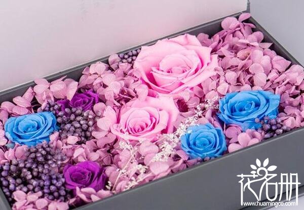 永生花有哪些,永生花是通过什么工艺永远不凋谢