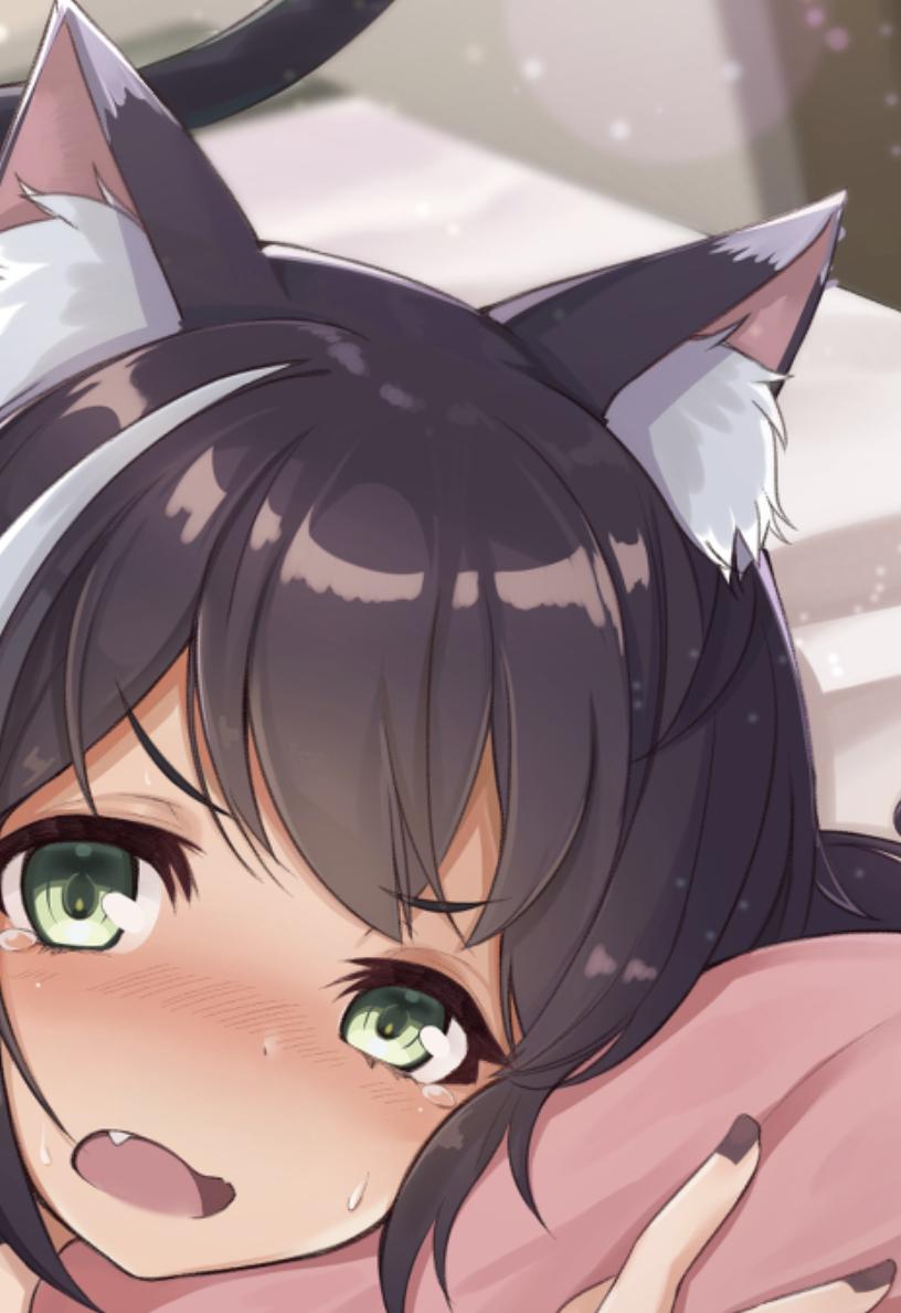 凯露被送去医院做了什么,凯露在医院经历了什么