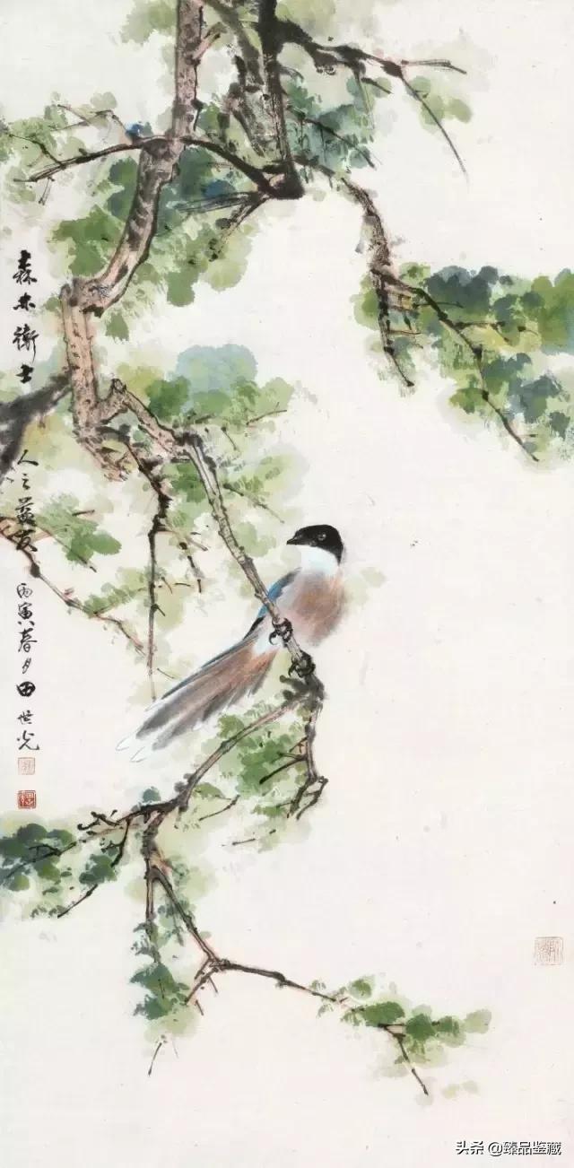 工笔大师田世光,工笔画大师田世光画孔雀好美
