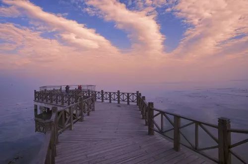 上海景点交通攻略,上海公交车旅游攻略