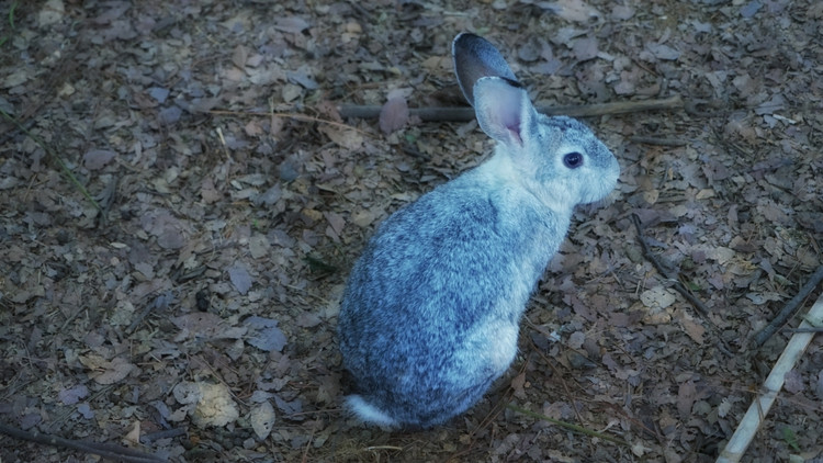 茅山宝盛园周边游玩,茅山宝盛园所有游乐设施