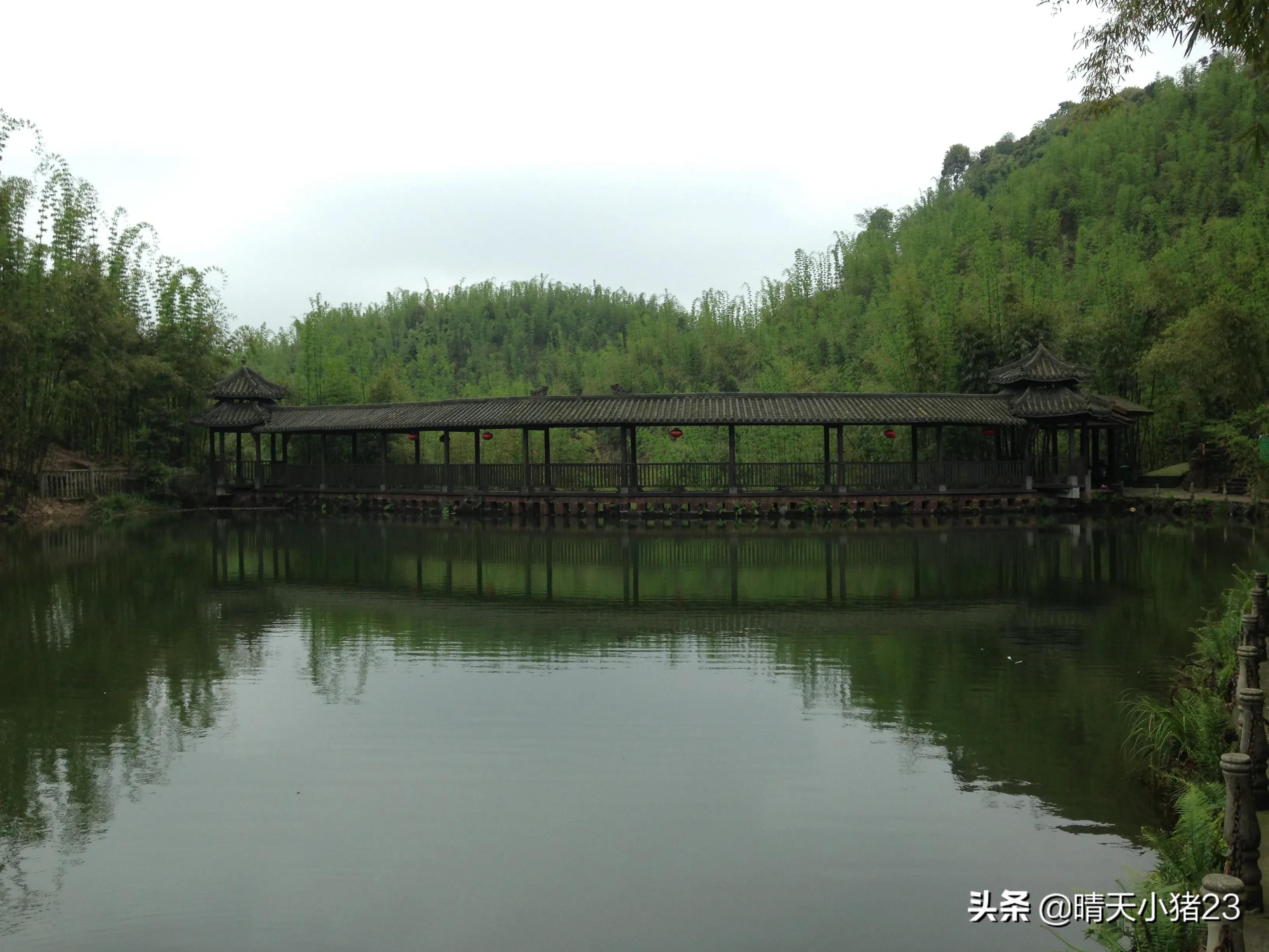 海棠香国乐山宣传视频,海棠香国乐山在哪里