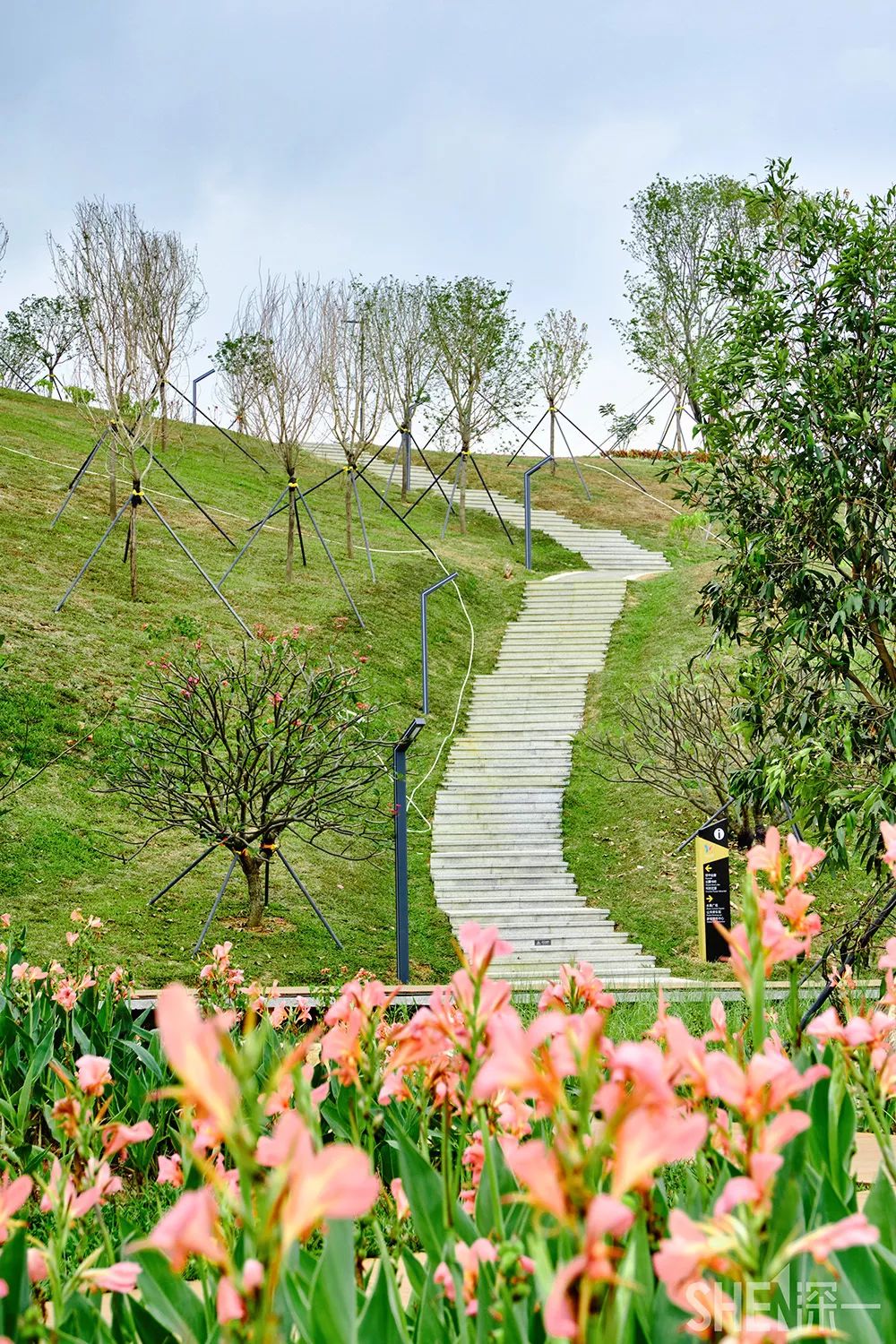 龙华新公园在哪里,深圳龙华区免费的公园