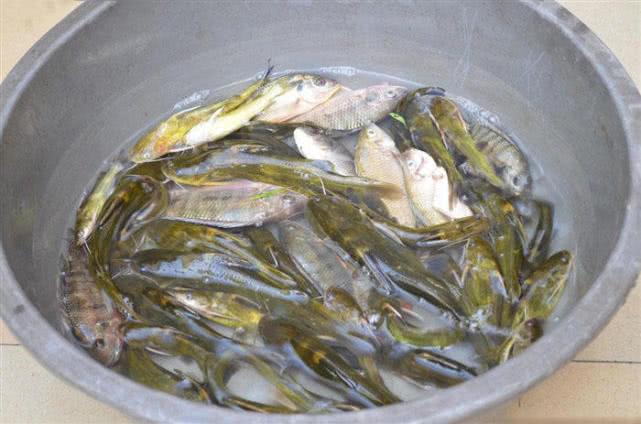 一个骑摩托车的钓鱼人，还真不是为了钓鱼