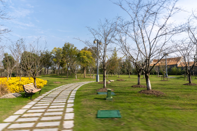 森林麋鹿公园,森林麋鹿