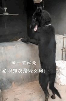 如何把放屁说的优雅,怎么样才能放一个安静的屁