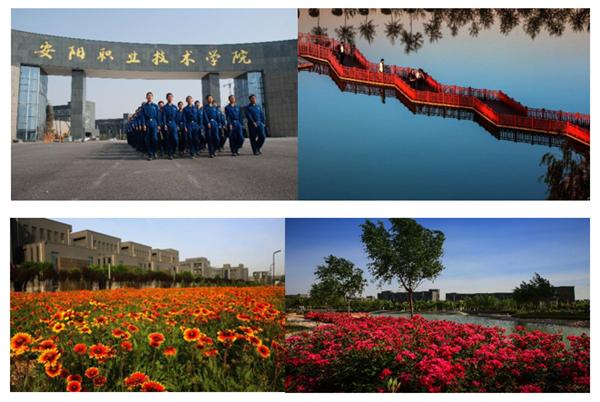 安阳职业技术学院学校,安阳职业技术学院有飞机吗