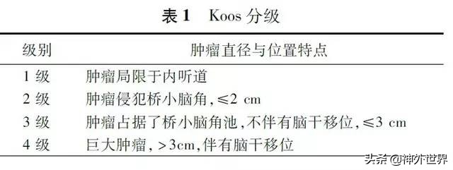 听神经瘤多学科协作诊疗中国专家共识