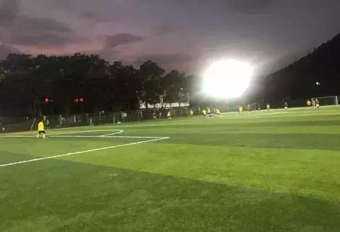 福田花卉世界最新规划,福田花卉世界新址