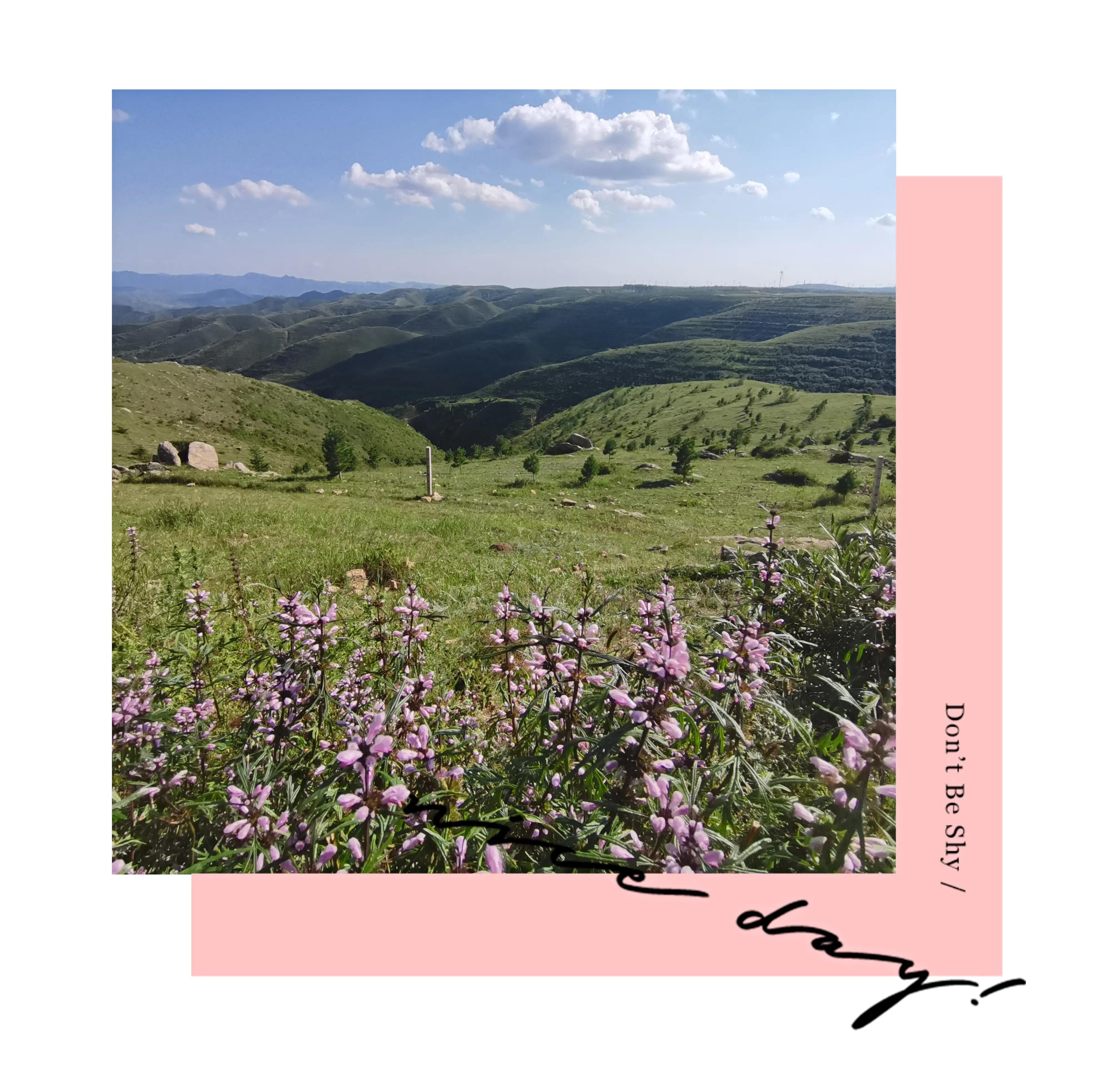 草原天路精彩视频,草原天路