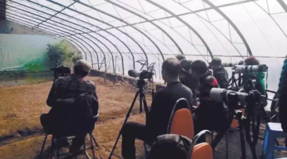 被囚34年取精，被迫亲手杀死爱子，最后只能挣扎着死去……