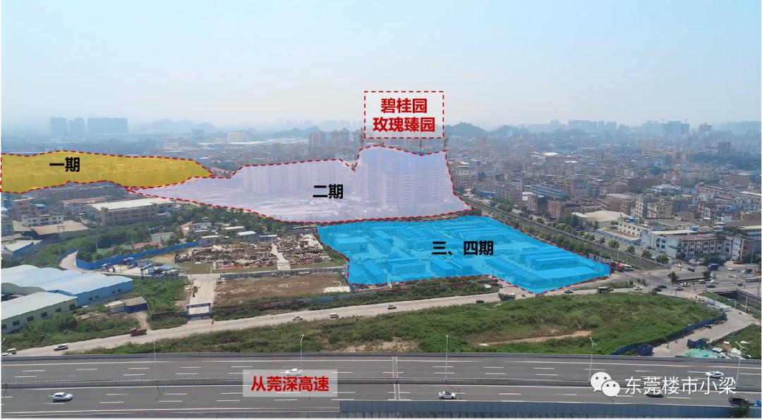 疫情后楼盘首开,东莞碧桂园玫瑰臻园排名