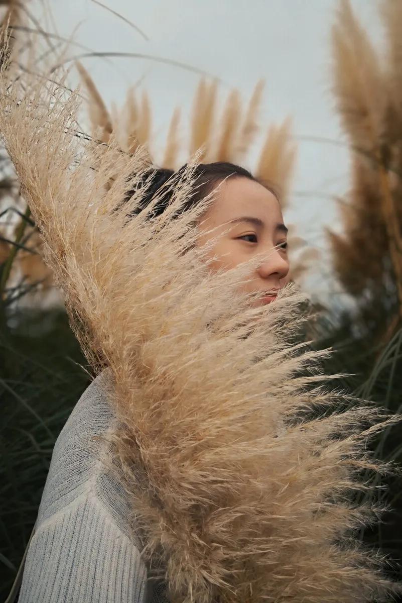 上海观赏草,上海之鱼冬天风景