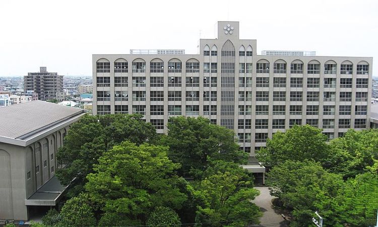 中国足球小将1-2日本足球小将,足球小将日本足球的崛起