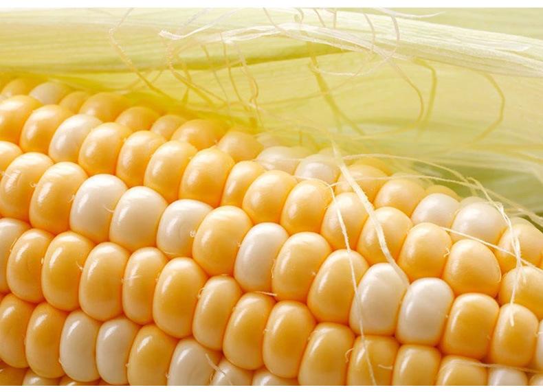 新奇特水果合集,新奇特创意水果