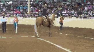 把中间的门店租下来取什么名字好,租下门面不知道取什么名字