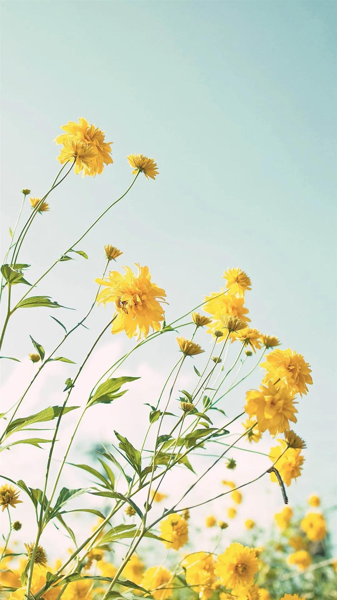 癔症恐怖吗,可怕的癔症