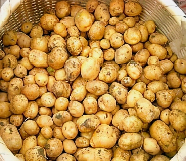 香辣土豆丸的家常做法,香辣土豆丸