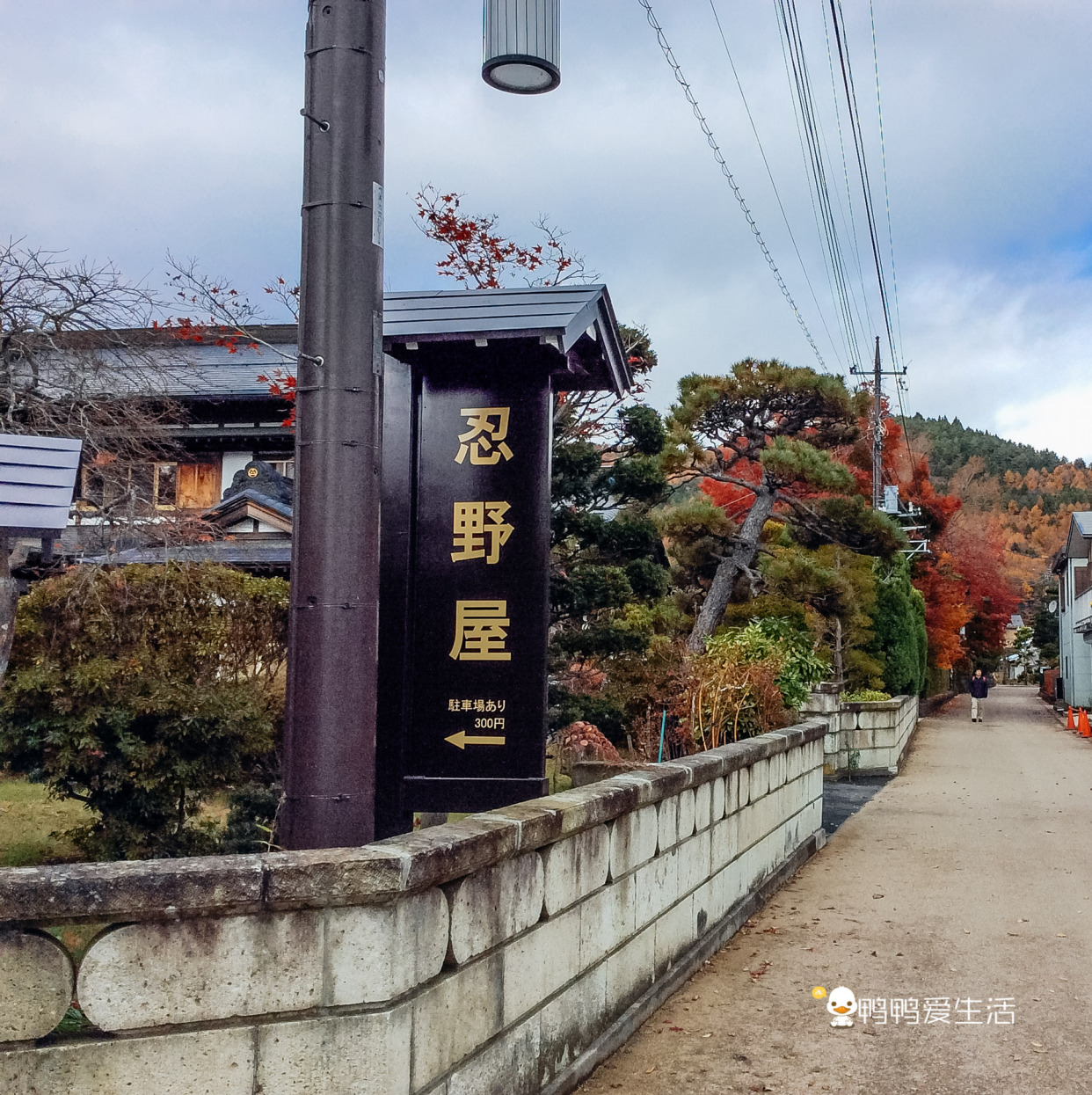 日本“小九寨”藏在富士山下,5月起繁花盛开,还能把泉水带回家