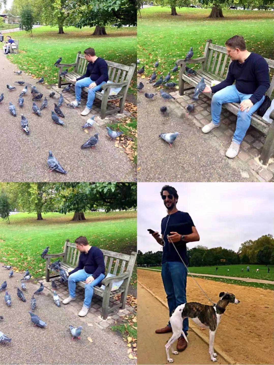 海德公园physicalenergy,海德公园hydepark英文介绍