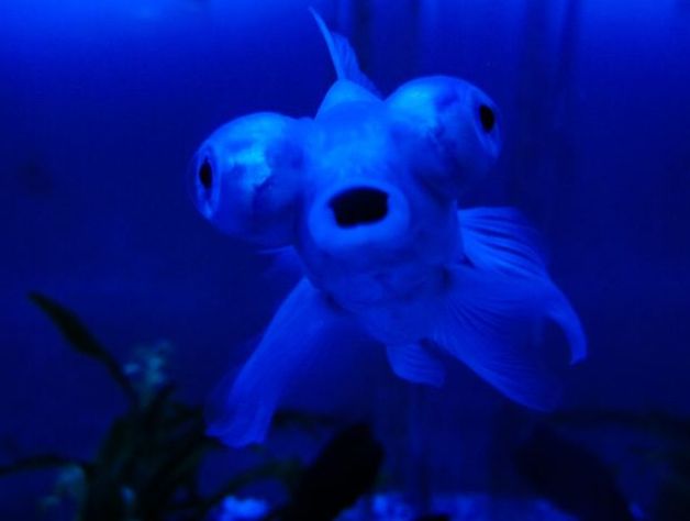 常州金鹰海洋世界门票,常州海洋金鹰海洋世界