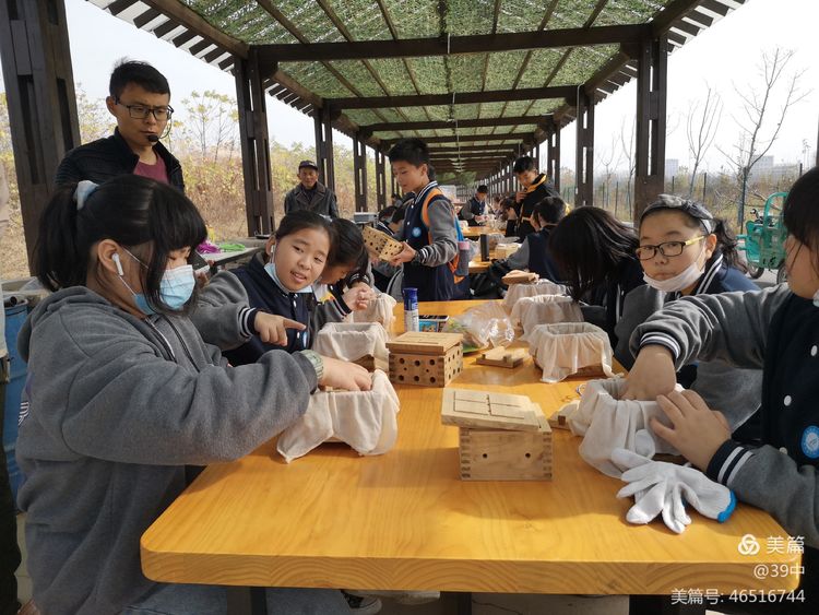 体耕读文化彰劳动之美——记合肥三十九中劳动研学活动
