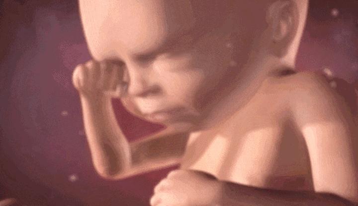 胎儿胎动最晚什么时候开始,正常胎儿胎动一般在什么位置