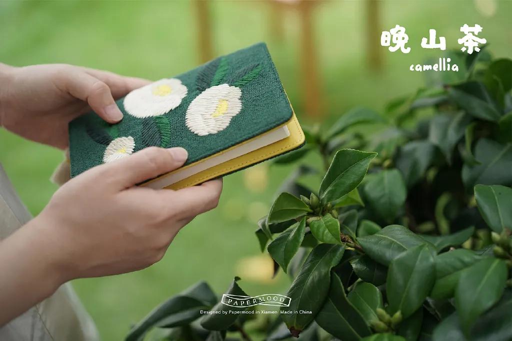 文具安利2019年,年度国产文具安利