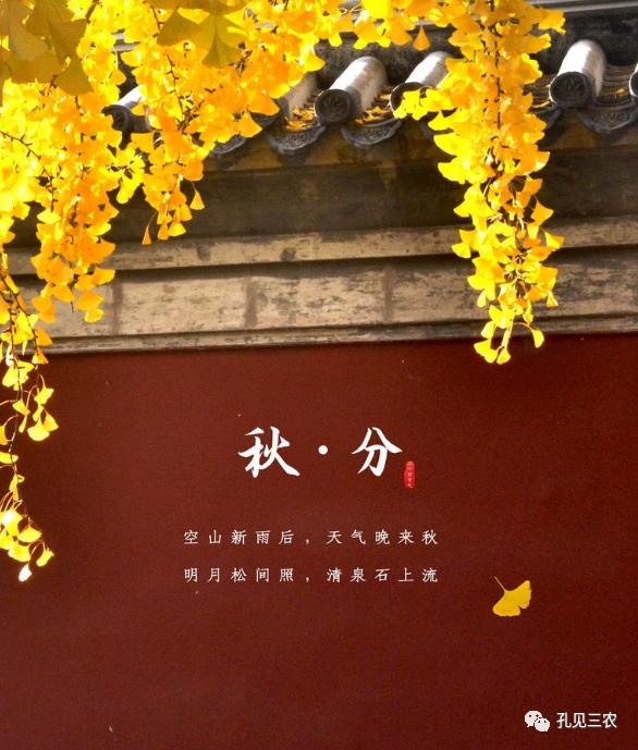 今天是秋分上午好问候图片,今天是秋分节的感悟